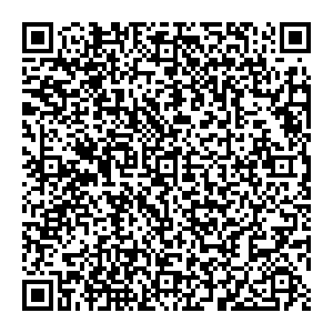 Palmetta Саратов ПР-Т КИРОВА, Д. 27 контакты qr