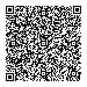 Palmetta Тольятти УЛ. РЕВОЛЮЦИОННАЯ, Д. 52А контакты qr