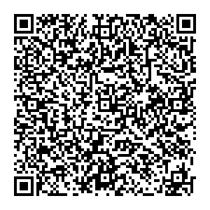 Palmetta Чебоксары УЛ. КАЛИНИНА, Д. 105А контакты qr