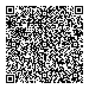 Palmetta Челябинск УЛ. МОЛДАВСКАЯ, Д. 16 контакты qr