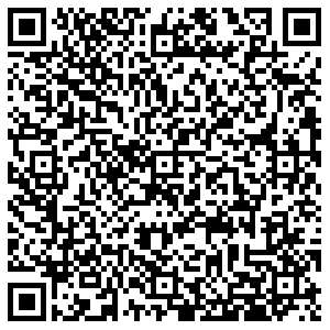 Пан Чемодан Казань Павлюхина, 91 контакты qr