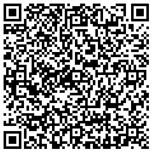 Печати5 Тула Ложевая 133 контакты qr