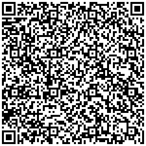 Пегас Туристик Артем улица Кирова 39А офис 21 (офис 21/1) контакты qr