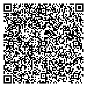 Пегас Туристик Омск улица Ленина 20 контакты qr