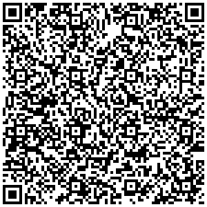 Пегас Туристик Балашиха улица Советская 1/7 контакты qr