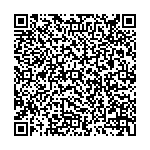 Пикассо Воронеж ул. Фридриха Энгельса, 25Б контакты qr