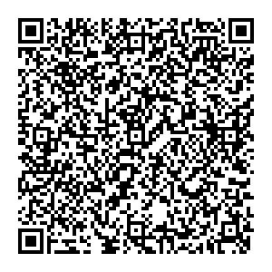 Позитроника Кызыл Тувинских добровольцев, д. 22 контакты qr