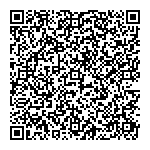 Позитроника Невинномысск Павлова, 13 контакты qr