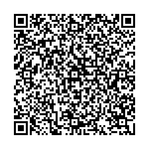 Пятерочка Боровичи ул.Гоголя, д.133, п. 4-Н контакты qr