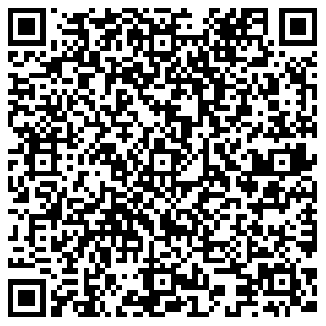 Пятерочка Балашиха Соловьёва, 2 контакты qr