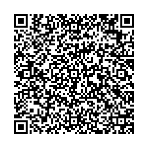 Пятерочка Арамиль Северный переулок, 17 контакты qr