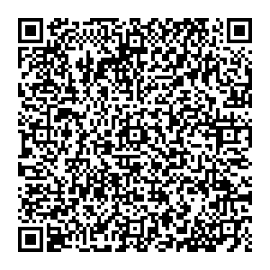 Рени Краснокамск Большевистская, 6 контакты qr