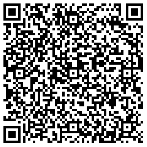 РЕСО Пенза Центральная, 1 контакты qr