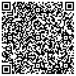 РЕСО Раменское Высоковольтная, 22 контакты qr