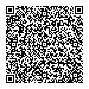 Ростелеком Черкесск ул. Союзный пер., д. 17 контакты qr