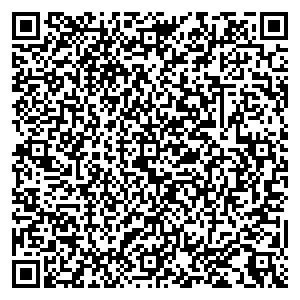 Сделай Своими Рукими Нижний Новгород ул. Костина, д.13 контакты qr