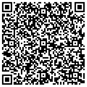 Selena Челябинск Кирова, 132 контакты qr