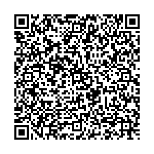 Serginnetti Йошкар-Ола Карла Маркса, 99 контакты qr