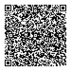 Шатура Ростов-на-Дону пр. Театральный, 123 контакты qr