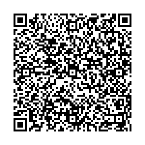 Шинсервис Королев ул. Пионерская, д.1А контакты qr