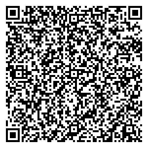 Школа футбола Like Санкт-Петербург Приморский проспект, д.12 контакты qr