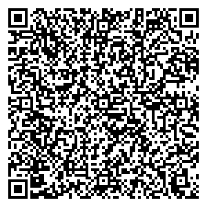Школа футбола Like Санкт-Петербург Наб.Обводного канала, д.118 контакты qr