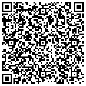 Штолле Воронеж Пушкинская, 7 контакты qr