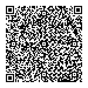 Скайлинк Владикавказ ул. Горького, д. 14 контакты qr