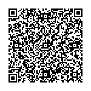 SmartyKids Воронеж ул.Шишкова, 72/1 контакты qr