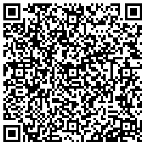 Согласие Ревда Азина, 81 контакты qr