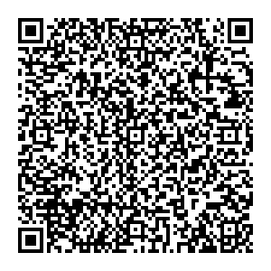 Спутник стиль Тамбов ул. Советская, д.190Ж контакты qr