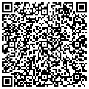 Стайер Иркутск ул.Литвинова, 17 контакты qr