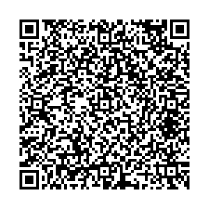 Стайер Комсомольск-на-Амуре пр.Ленина, 39 контакты qr