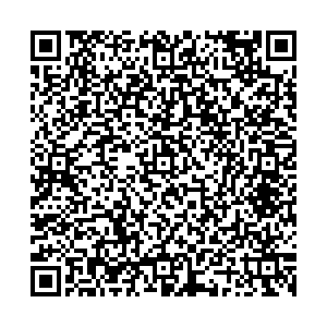 Стайер Комсомольск-на-Амуре пр.Ленина, 39 контакты qr