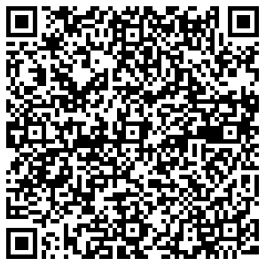 Стайер Омск ул.Съездовская, 29/2 контакты qr