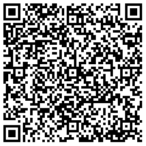 Сабвей Санкт-Петербург Блохина, 33 контакты qr