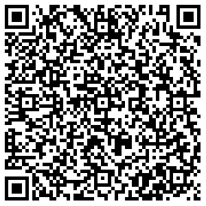 Сабвей Воронеж Плехановская, 6 контакты qr