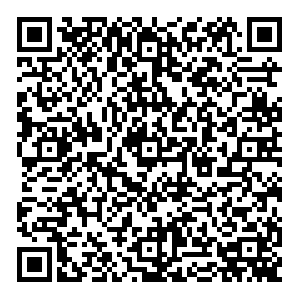 Сабвей Йошкар-Ола Кирова, 6 контакты qr