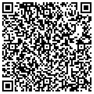 Светофор Казань ул Тульская, 58 контакты qr