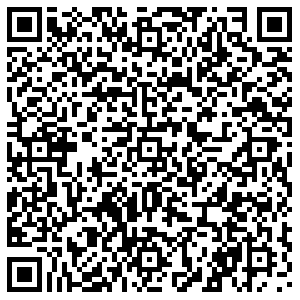 Светофор Псков ул.Советской Армии,  64 контакты qr