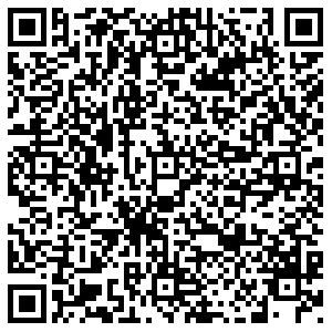 Светофор Воронеж Дубровина, 13 контакты qr