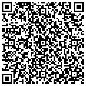 Светофор Киров Весенняя, 52 контакты qr