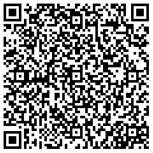 Светофор Саранск Лодыгина, 14 контакты qr
