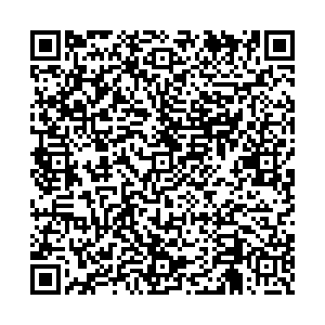 Светофор Благовещенск Театральная, 430/3 контакты qr