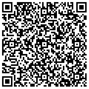 Светофор Камышин Алтайская, 20/1 контакты qr