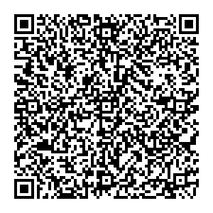 Светоник Нижний Новгород площадь Революции, дом 9 контакты qr