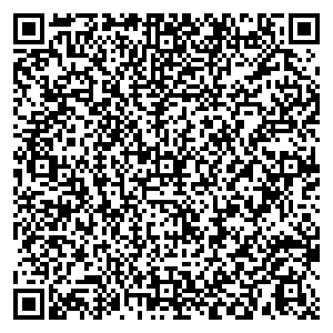 Связной Москва Ленинский пр-кт, дом 101 контакты qr