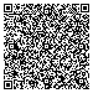 Связной Санкт-Петербург Коллонтай ул, дом 20, корп. 3 контакты qr