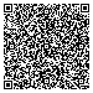 Связной Воронеж Остужева ул, павильон у дома 22 контакты qr