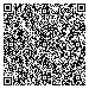 Связной Фрязино Школьная ул, дом 1 контакты qr